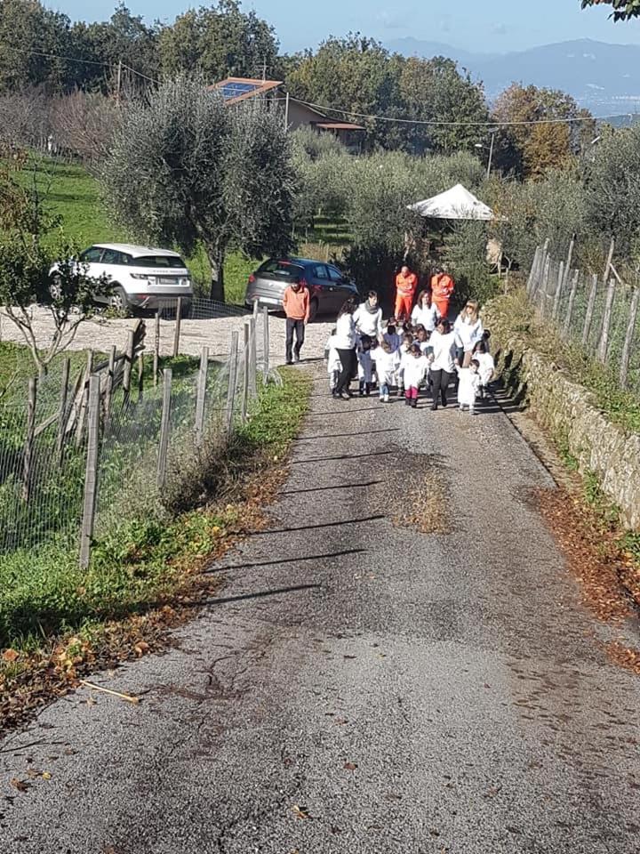 Tenuta Martino Aquara Exterior foto